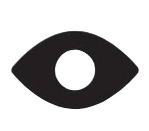 Toggle Password Visibility